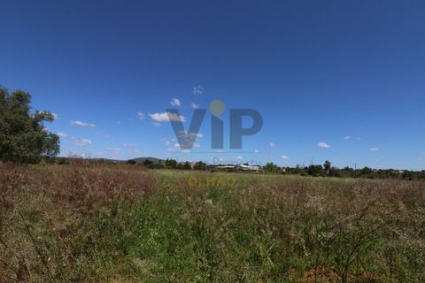 Helårsgrund i Moncarapacho, Faro, Moncarapacho - € 635.000 | Ref: VTO211 - foto 12