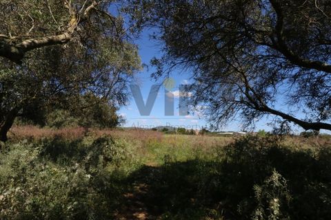 Helårsgrund i Moncarapacho, Faro, Moncarapacho - € 635.000 | Ref: VTO211 - foto 13