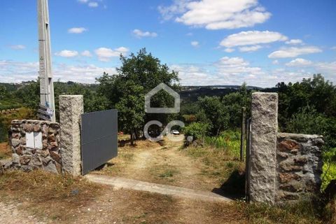 Farm hus i Viseu, Viseu, Viseu - € 595.000 | Ref: 353/Q/02236 - foto 38