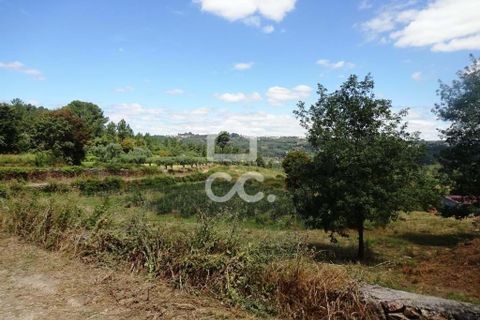 Farm hus i Viseu, Viseu, Viseu - € 595.000 | Ref: 353/Q/02236 - foto 2