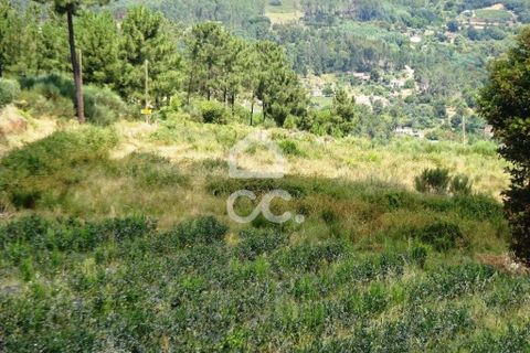 Farm hus i Viseu, Viseu, Viseu - € 595.000 | Ref: 353/Q/02236 - foto 5