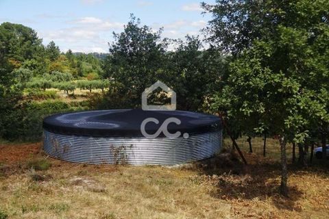 Farm hus i Viseu, Viseu, Viseu - € 595.000 | Ref: 353/Q/02236 - foto 3