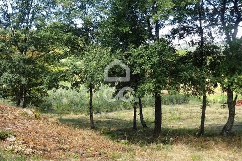 Farm hus i Viseu, Viseu, Viseu - € 595.000 | Ref: 353/Q/02236 - foto 7