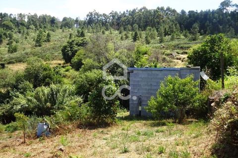 Farm hus i Viseu, Viseu, Viseu - € 595.000 | Ref: 353/Q/02236 - foto 8