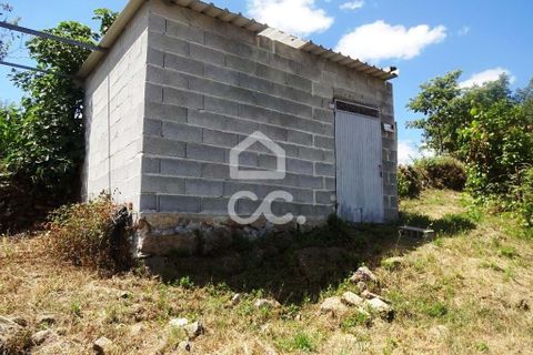 Farm hus i Viseu, Viseu, Viseu - € 595.000 | Ref: 353/Q/02236 - foto 9