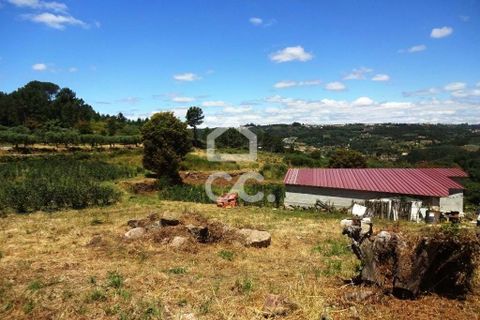 Farm hus i Viseu, Viseu, Viseu - € 595.000 | Ref: 353/Q/02236 - foto 13