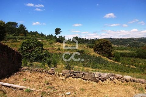 Farm hus i Viseu, Viseu, Viseu - € 595.000 | Ref: 353/Q/02236 - foto 14