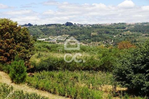Farm hus i Viseu, Viseu, Viseu - € 595.000 | Ref: 353/Q/02236 - foto 15
