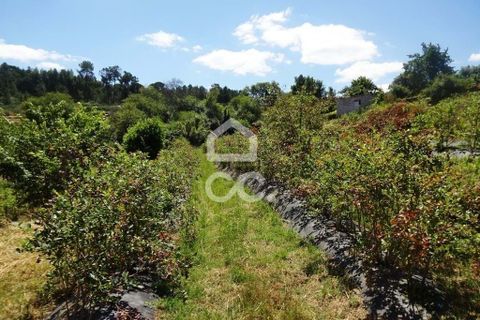 Farm hus i Viseu, Viseu, Viseu - € 595.000 | Ref: 353/Q/02236 - foto 16