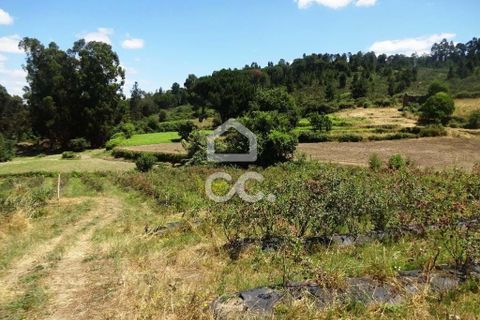 Farm hus i Viseu, Viseu, Viseu - € 595.000 | Ref: 353/Q/02236 - foto 17