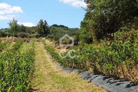 Farm hus i Viseu, Viseu, Viseu - € 595.000 | Ref: 353/Q/02236 - foto 19