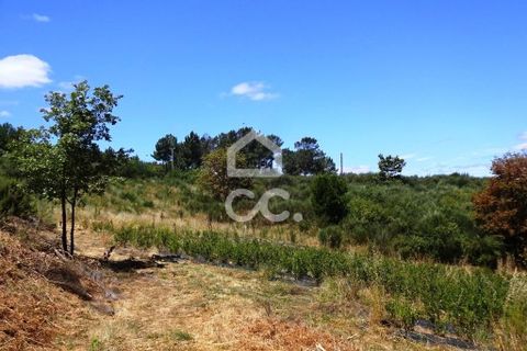 Farm hus i Viseu, Viseu, Viseu - € 595.000 | Ref: 353/Q/02236 - foto 20