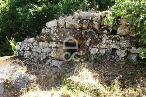 Farm hus i Viseu, Viseu, Viseu - € 595.000 | Ref: 353/Q/02236 - foto 22