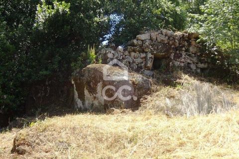 Farm hus i Viseu, Viseu, Viseu - € 595.000 | Ref: 353/Q/02236 - foto 23