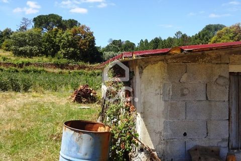 Farm hus i Viseu, Viseu, Viseu - € 595.000 | Ref: 353/Q/02236 - foto 28