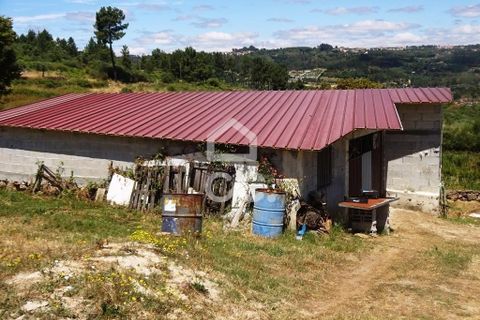 Farm hus i Viseu, Viseu, Viseu - € 595.000 | Ref: 353/Q/02236 - foto 29