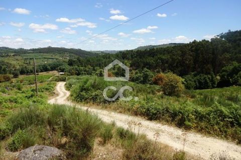 Farm hus i Viseu, Viseu, Viseu - € 595.000 | Ref: 353/Q/02236 - foto 31