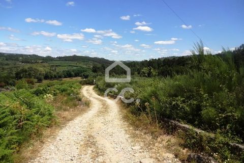 Farm hus i Viseu, Viseu, Viseu - € 595.000 | Ref: 353/Q/02236 - foto 33