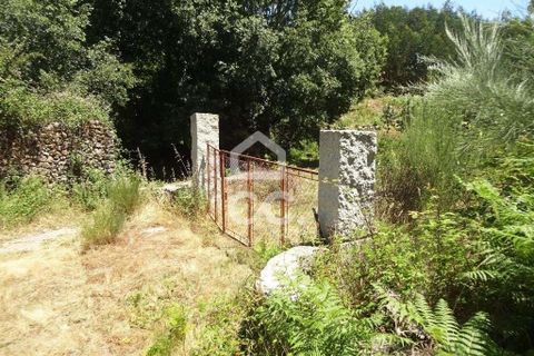 Farm hus i Viseu, Viseu, Viseu - € 595.000 | Ref: 353/Q/02236 - foto 35