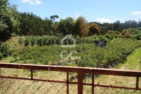 Farm hus i Viseu, Viseu, Viseu - € 595.000 | Ref: 353/Q/02236 - foto 36