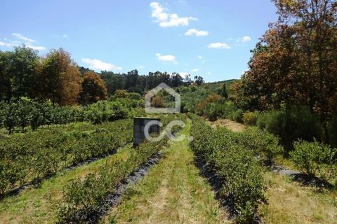 Farm hus i Viseu, Viseu, Viseu - € 595.000 | Ref: 353/Q/02236 - foto 34