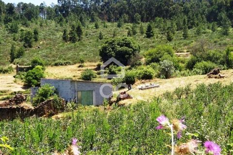 Farm hus i Viseu, Viseu, Viseu - € 595.000 | Ref: 353/Q/02236 - foto 37