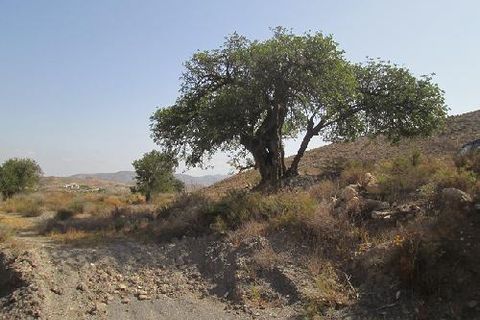 Tomt i Sorbas, Almeria, Sorbas - € 115 000 | Ref: Sorbas29-18 - foto 17