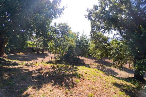 Helårsgrund i Ceivaes e Badim, Viana do Castelo, Ceivaes e Badim - € 35.000 | Ref: 3743 - foto 2