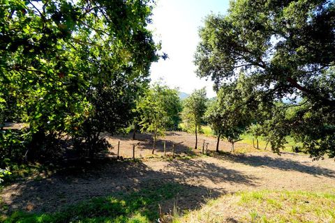 Helårsgrund i Ceivaes e Badim, Viana do Castelo, Ceivaes e Badim - € 35.000 | Ref: 3743 - foto 3