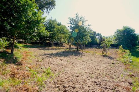 Helårsgrund i Ceivaes e Badim, Viana do Castelo, Ceivaes e Badim - € 35.000 | Ref: 3743 - foto 4