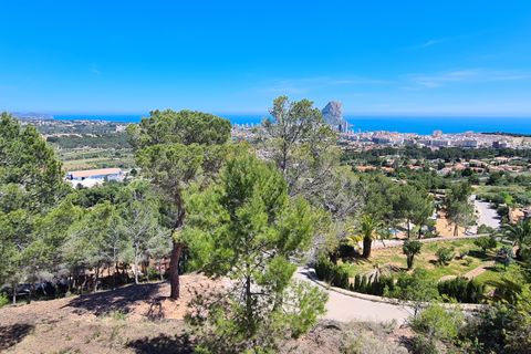 Tomt i Calpe, Alicante, Calpe - € 1 500 000 | Ref: PD30035 - foto 2