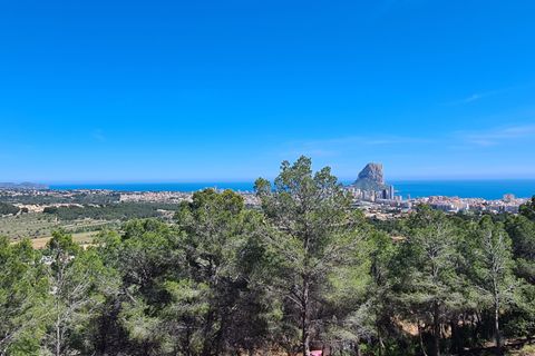 Tomt i Calpe, Alicante, Calpe - € 1 500 000 | Ref: PD30035 - foto 6