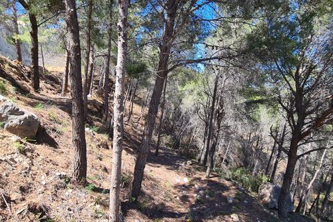 Tomt i Calpe, Alicante, Calpe - € 1 500 000 | Ref: PD30035 - foto 7