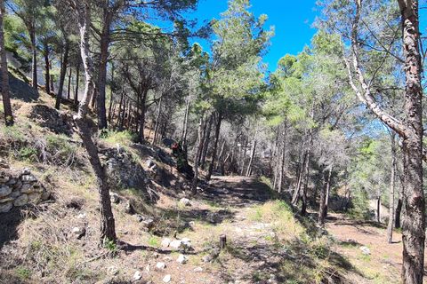 Tomt i Calpe, Alicante, Calpe - € 1 500 000 | Ref: PD30035 - foto 9