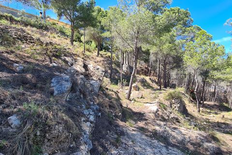 Tomt i Calpe, Alicante, Calpe - € 1 500 000 | Ref: PD30035 - foto 10