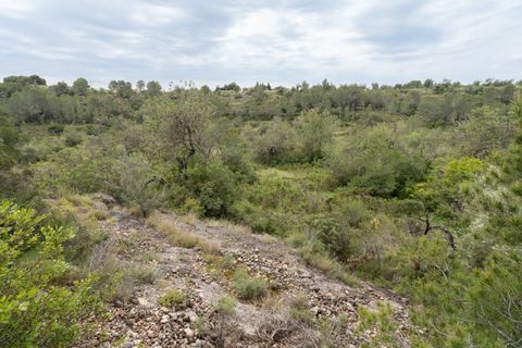 Finca i Tortosa, Tarragona, Tortosa - € 53.000 | Ref: 687 - foto 5