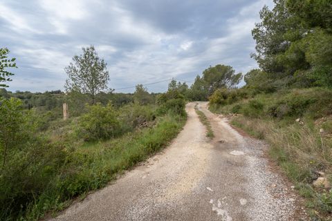 Finca i Tortosa, Tarragona, Tortosa - € 53.000 | Ref: 687 - foto 2