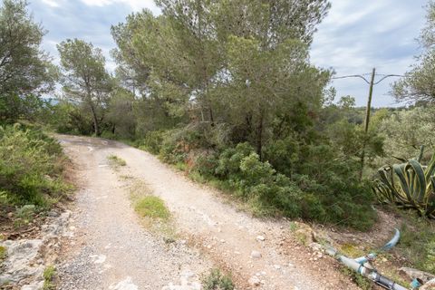 Finca i Tortosa, Tarragona, Tortosa - € 53.000 | Ref: 687 - foto 8