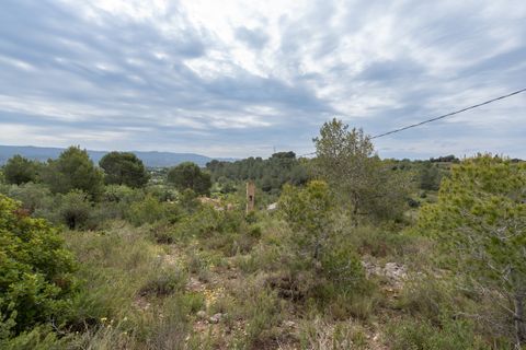 Finca i Tortosa, Tarragona, Tortosa - € 53.000 | Ref: 687 - foto 7