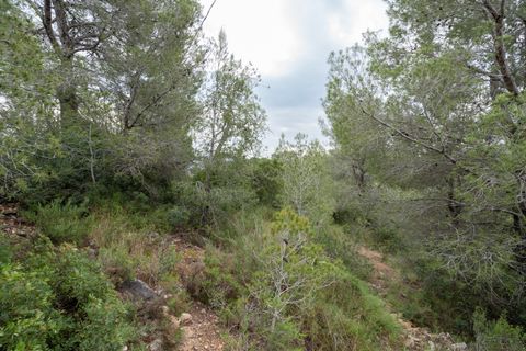 Finca i Tortosa, Tarragona, Tortosa - € 53.000 | Ref: 687 - foto 6