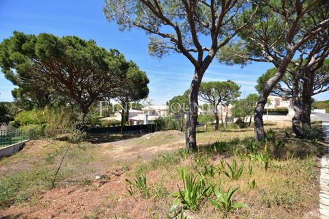 Terra a Almancil, Faro, Almancil - € 2.075.000 | Ref: FC251GTZ - foto 3