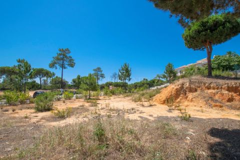 Terra a Almancil, Faro, Almancil - € 2.775.000 | Ref: FC361GTZ - foto 5