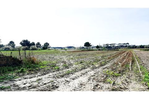 Helårsgrund i Ovar, Aveiro, Ovar - € 20.000 | Ref: 650 - foto 2