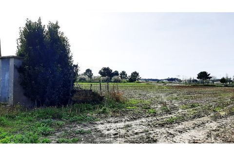Helårsgrund i Ovar, Aveiro, Ovar - € 20.000 | Ref: 650 - foto 3