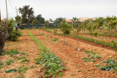 Villa i Guia, Faro, Guia - € 7.500.000 | Ref: 1537 - foto 6