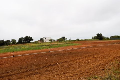 Villa i Guia, Faro, Guia - € 7.500.000 | Ref: 1537 - foto 7