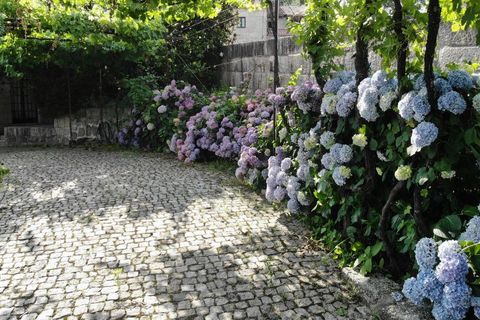 Villa i Amarante, Porto, Amarante - € 595.000 | Ref: 678 - foto 15