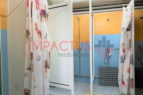 Erhvervsejendom i Trofa, Porto, Trofa - € 235.000 | Ref: TC1110 - foto 2