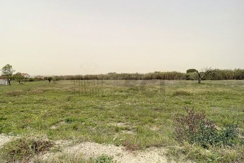 Helårsgrund i Quinta do Anjo, Setubal, Quinta do Anjo - € 475.000 | Ref: 8997 - foto 3