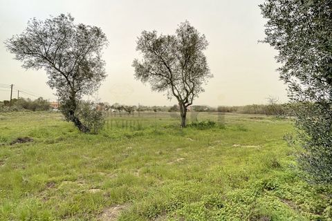 Helårsgrund i Quinta do Anjo, Setubal, Quinta do Anjo - € 475.000 | Ref: 8997 - foto 7